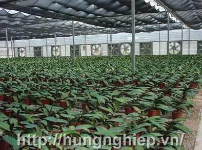 Hệ thống làm mát áp suất âm