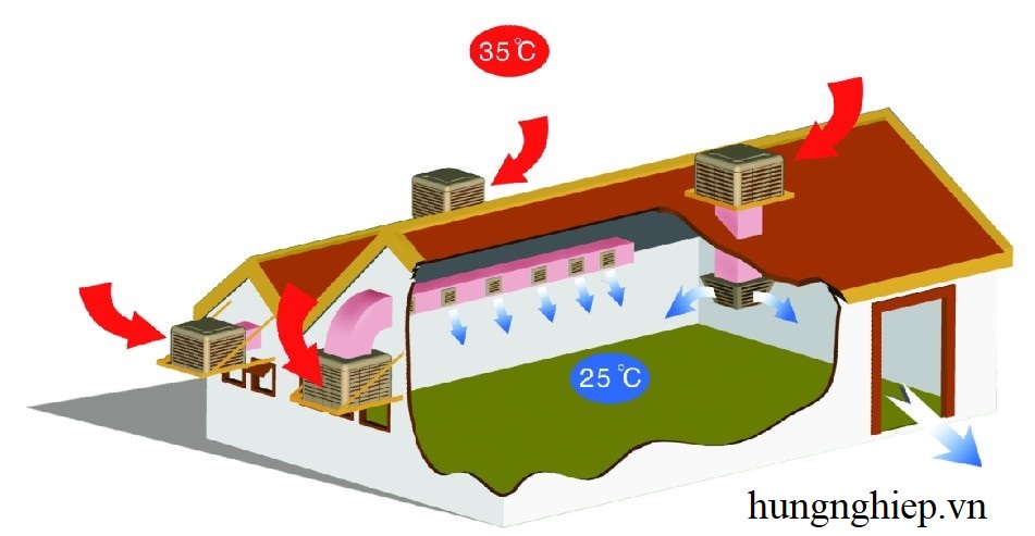 Hệ thống làm mát